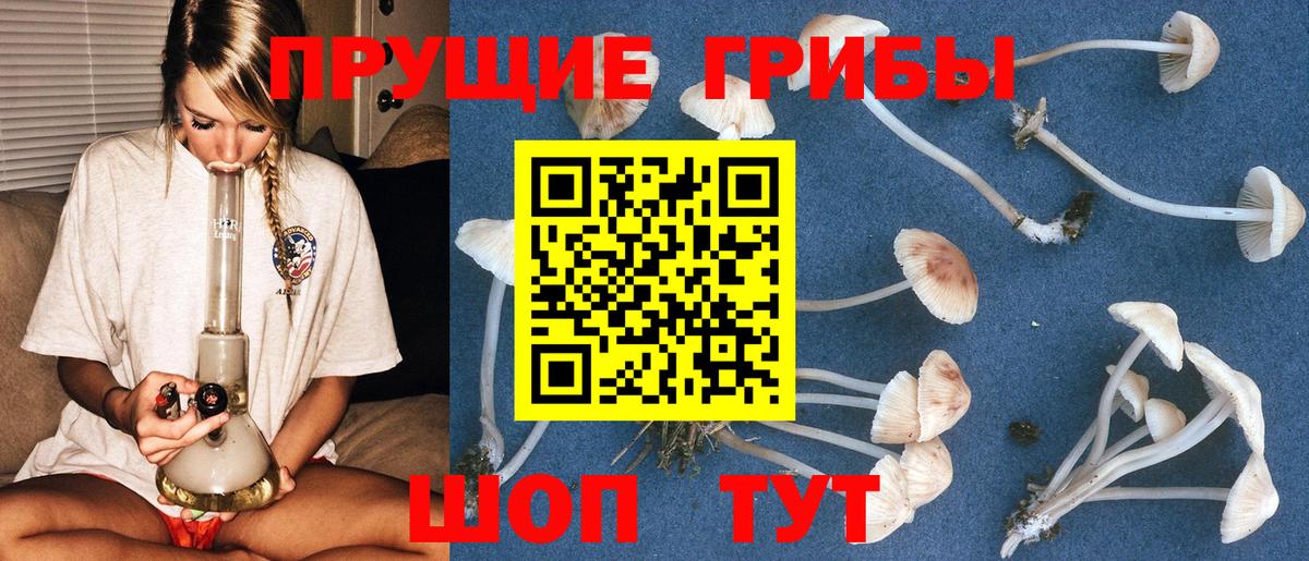 Галлюциногенные грибы GOLDEN TEACHER  Вход с VPN  Богданович 